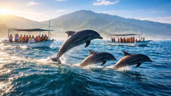 What time of year is best for dolphin watching in Lovina bali?