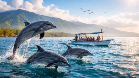 Best Dolphin Tour Lovina