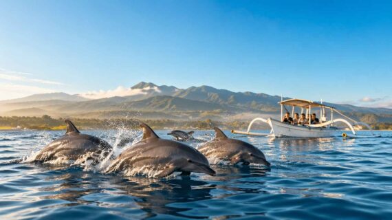Best Time to See Dolphins in Lovina Bali