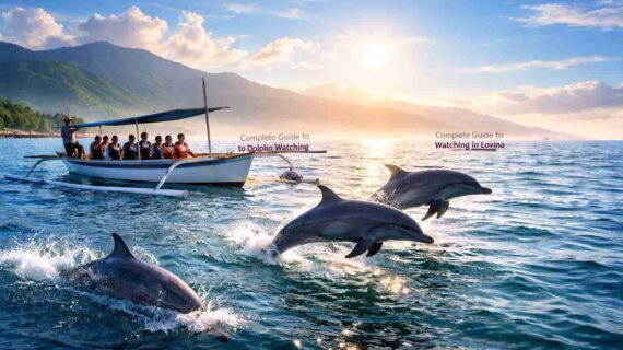 Complete Guide to Dolphin Watching in Lovina