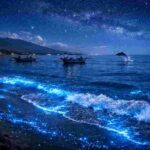 Do we really see plankton in Lovina, Bali?