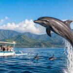 Everything You Need to Know Before Dolphin Watching in Bali