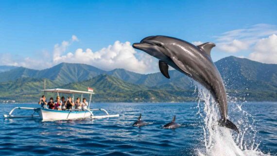 Everything You Need to Know Before Dolphin Watching in Bali