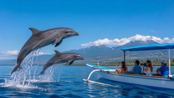 How to Book a Private Dolphin Tour in Lovina