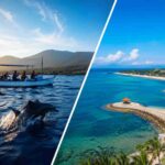 Lovina Dolphin Tour vs Nusa Dua: Which Is Better?