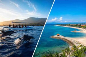 Lovina Dolphin Tour vs Nusa Dua: Which Is Better?