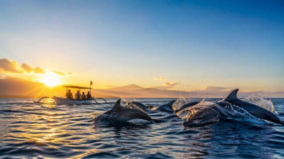 Sunrise Dolphin Tour Lovina: What to Expect