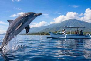 Top Reasons to Choose a Private Dolphin Tour in Lovina