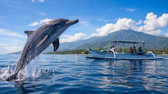 Top Reasons to Choose a Private Dolphin Tour in Lovina