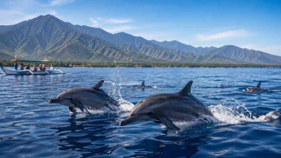 What Makes Lovina Dolphins So Special?