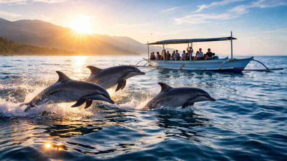 What time of day are you likely to see dolphins in Lovina?