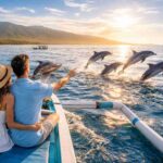 What’s the best time of the day to see dolphins lovina?