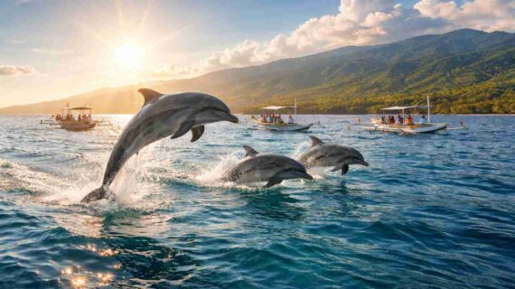 Why Lovina Is the Best Place to See Dolphins in Bali