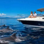 Why Private Dolphin Tours Are Better Than Shared Boats