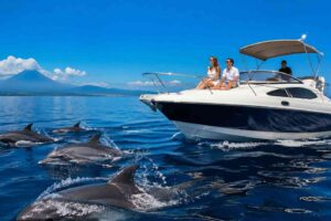 Why Private Dolphin Tours Are Better Than Shared Boats