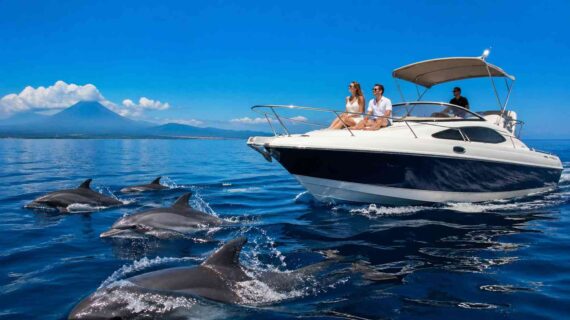 Why Private Dolphin Tours Are Better Than Shared Boats