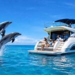 Avoid Crowds: Book a Private Dolphin Tour