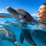 Can You Swim with Dolphins in Bali?