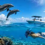 Dolphin Tour + Snorkeling Combo: Is It Worth It?