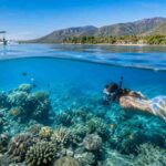 Hidden Underwater Gems in Lovina