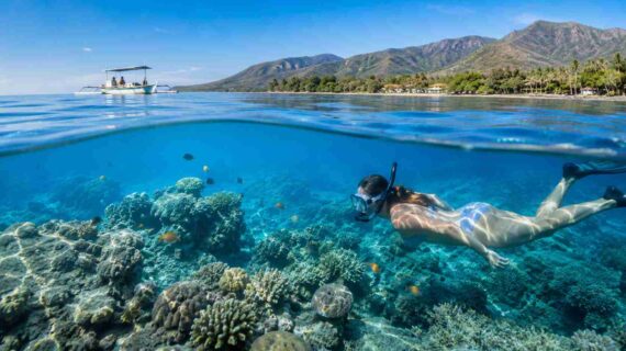 Hidden Underwater Gems in Lovina