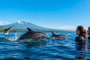 Is It Safe to Swim with Dolphins in Lovina?