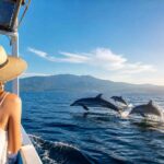Is a Private Dolphin Tour in Lovina Worth the Price?