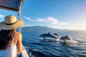 Is a Private Dolphin Tour in Lovina Worth the Price?