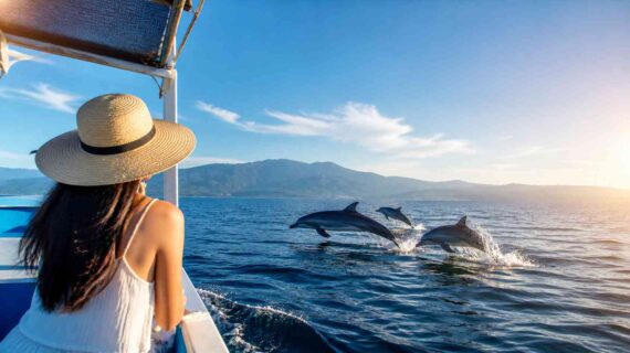 Is a Private Dolphin Tour in Lovina Worth the Price?