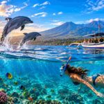 Lovina Dolphin Tour and Snorkeling Guide
