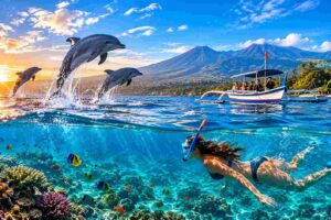 Lovina Dolphin Tour and Snorkeling Guide