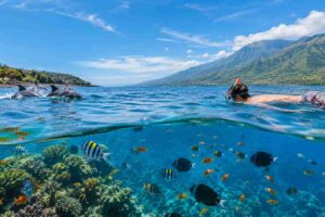 Lovina vs Amed Snorkeling: Which Is Better?