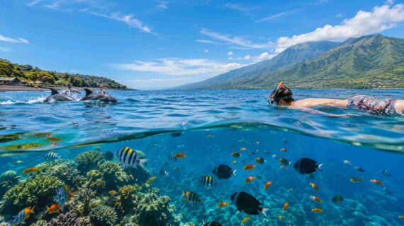 Lovina vs Amed Snorkeling: Which Is Better?