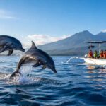Luxury Dolphin Tour Lovina: What You Get