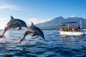 Luxury Dolphin Tour Lovina: What You Get