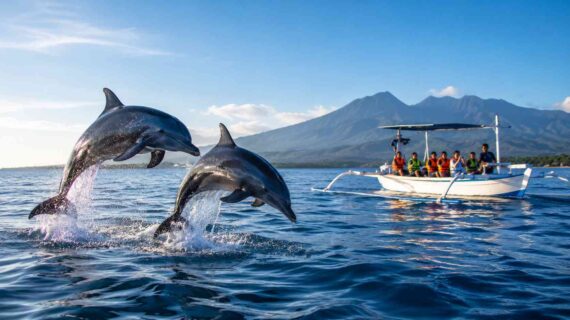 Luxury Dolphin Tour Lovina: What You Get