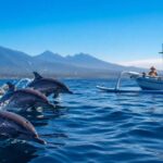 Private Dolphin Tour Lovina: Full Experience Guide