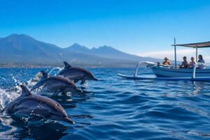 Private Dolphin Tour Lovina: Full Experience Guide