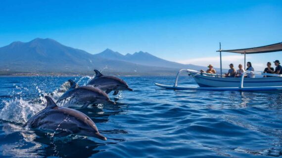 Private Dolphin Tour Lovina: Full Experience Guide