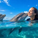 Tips for First-Time Dolphin Swimmers
