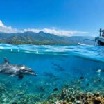 What Marine Life Can You See in Lovina?