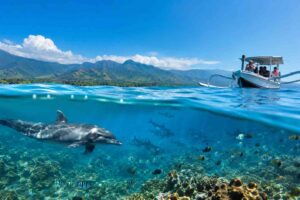 What Marine Life Can You See in Lovina?