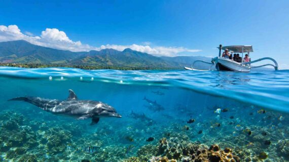 What Marine Life Can You See in Lovina?