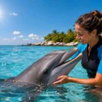 What to Wear When Swimming with Dolphins
