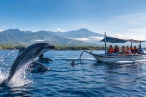Affordable Dolphin Tours in Lovina Explained