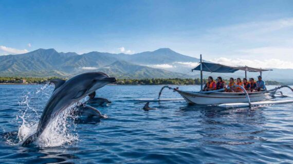 Affordable Dolphin Tours in Lovina Explained