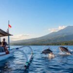 Affordable dolphin watching packages in Lovina