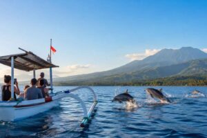 Affordable dolphin watching packages in Lovina