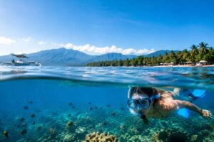 Best Time for Snorkeling in Lovina