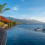 Best hotels offering dolphin watching packages in Lovina